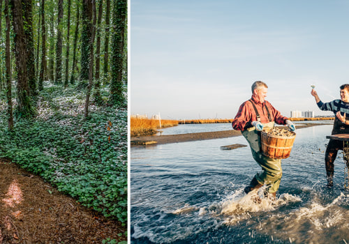 The Ultimate Guide to Living and Working in Virginia Beach, VA
